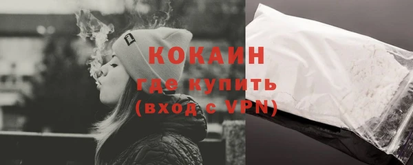 apvp Пестово