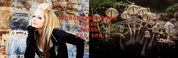 mdpv Елизово