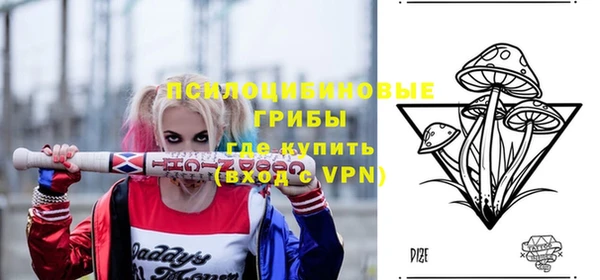 mdpv Елизово